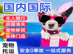 阿荣机场货运国际宠物托运 【国